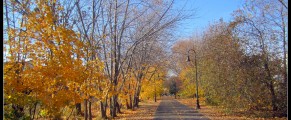 Boston Winter Transition